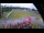 Webcam in Ruka, 1743.2 km