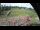 Webcam in Ruka, 672.6 mi away