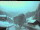 Webcam in Gries am Brenner, 4 km