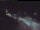 Webcam in Gries am Brenner, 3.5 km