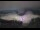 Webcam in Kitzbühel, 2.1 km entfernt