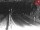 Webcam in Achenkirch, 16.5 km