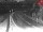 Webcam in Achenkirch, 2.9 mi away