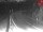 Webcam in Achenkirch, 1 km