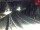 Webcam in Achenkirch, 1 km