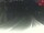 Webcam in Achenkirch, 2.3 mi away