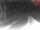 Webcam in Achenkirch, 2.5 mi away