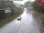 Webcam in Arnbach, 11.2 km
