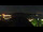 Webcam in Pörtschach am Wörthersee, 7.6 km