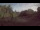 Webcam in Steinbrunn, 11.3 mi away