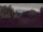Webcam in Steinbrunn, 11.5 mi away