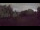 Webcam in Steinbrunn, 7 mi away