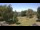 Webcam in Steinbrunn, 11.5 mi away