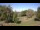 Webcam in Steinbrunn, 23 km entfernt
