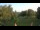 Webcam in Steinbrunn, 23 km
