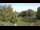 Webcam in Steinbrunn, 17.2 km