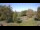 Webcam in Steinbrunn, 17.2 km