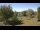 Webcam in Steinbrunn, 7.1 mi away