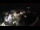 Webcam in Leibnitz, 0.1 km