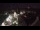 Webcam in Leibnitz, 0.1 mi away