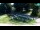Webcam in Maribor, 12 km entfernt