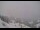 Webcam in Kitzbühel, 0.5 km entfernt