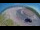 Webcam in Corpus Christi, Texas, 238.3 km