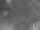 Webcam in Corpus Christi, Texas, 99.8 mi away