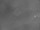 Webcam in Corpus Christi, Texas, 313.6 km entfernt