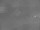 Webcam in Corpus Christi, Texas, 135.5 km entfernt