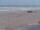 Webcam in Corpus Christi, Texas, 65.9 mi away
