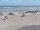 Webcam in Corpus Christi, Texas, 19.4 mi away