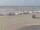 Webcam in Corpus Christi, Texas, 140.7 km