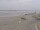 Webcam in Corpus Christi, Texas, 52.3 mi away