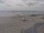 Webcam in Corpus Christi, Texas, 0 km