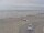Webcam in Corpus Christi, Texas, 47.3 mi away