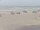 Webcam in Corpus Christi, Texas, 26.8 km entfernt