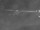 Webcam in Corpus Christi, Texas, 115.6 mi away
