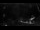 Webcam in Interlaken, 1.6 km entfernt
