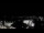 Webcam in Velden am Wörthersee, 0.8 km