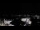 Webcam in Velden am Wörthersee, 0.3 mi away