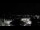 Webcam in Velden am Wörthersee, 8.1 km entfernt
