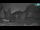 Webcam in Plezzo, 13.9 km