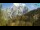 Webcam in Kranjska Gora, 2.3 mi away