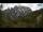 Webcam in Kranjska Gora, 2.3 mi away