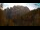 Webcam in Kranjska Gora, 5.4 km