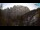 Webcam in Kranjska Gora, 16.6 km