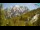 Webcam in Kranjska Gora, 6 km entfernt