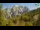 Webcam in Kranjska Gora, 6 km