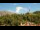 Webcam in Kobarid, 1.1 km